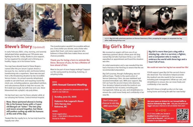 Spring 2025 Thumbnanil