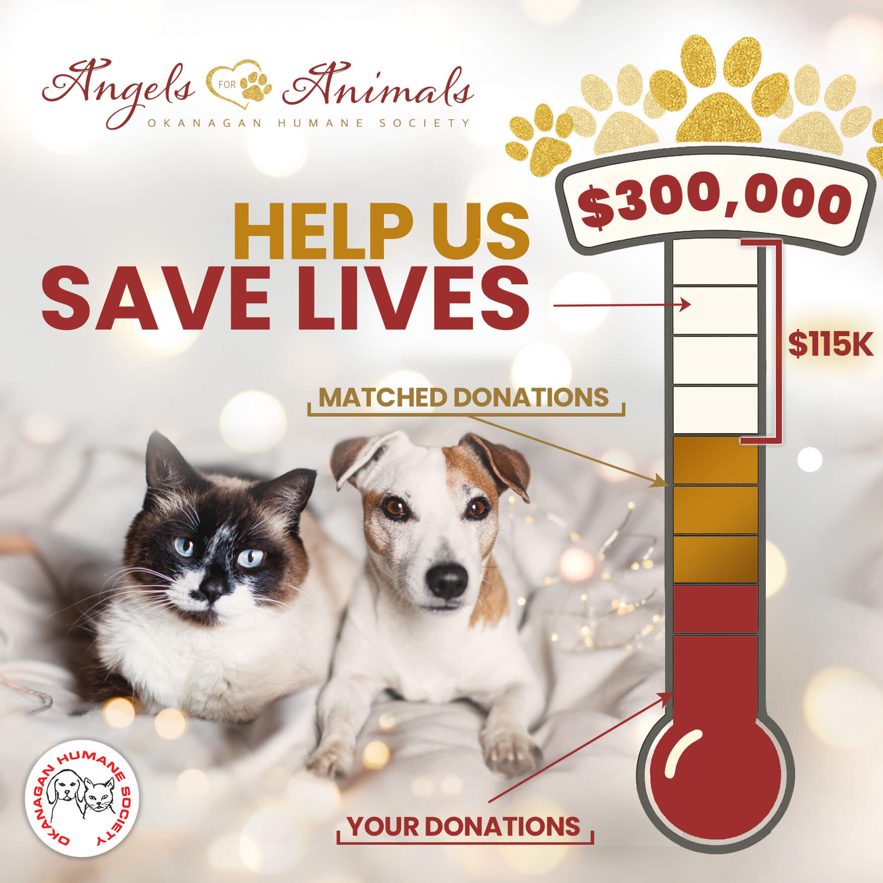 Angels for Animals Nov8 Thermometer